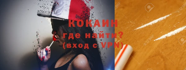 индика Алексеевка
