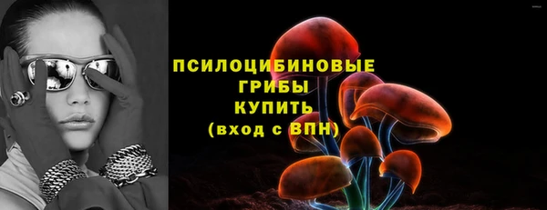 ГАЛЛЮЦИНОГЕННЫЕ ГРИБЫ Алзамай