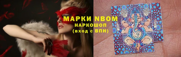индика Алексеевка
