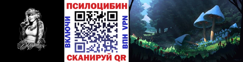 Псилоцибиновые грибы Cubensis Камызяк