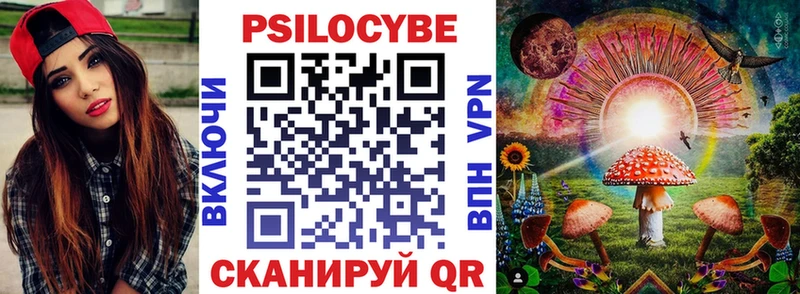 Галлюциногенные грибы Psilocybe  хочу наркоту  Камызяк 