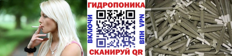 Конопля MAZAR  Камызяк 